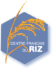 Logo-CFR