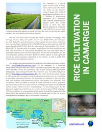 Rice Genomics Symposium Riziculture Camargue. © ISRFG, 2016.